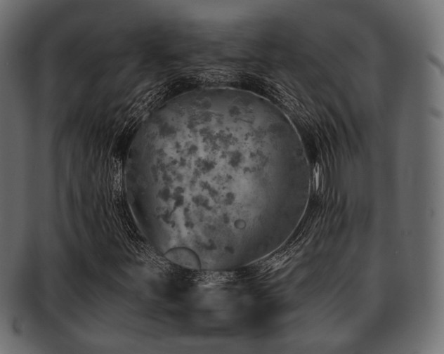 X0000093101251200709261223