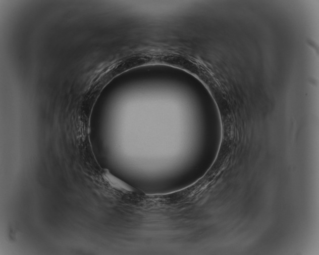 X0000093101253200709261223