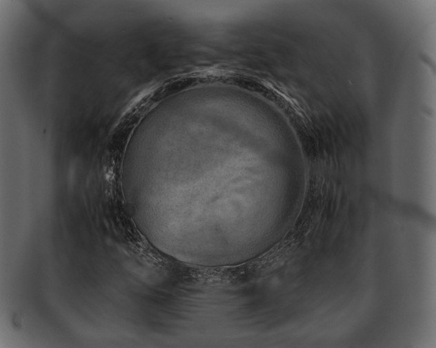 X0000093101254200709261223