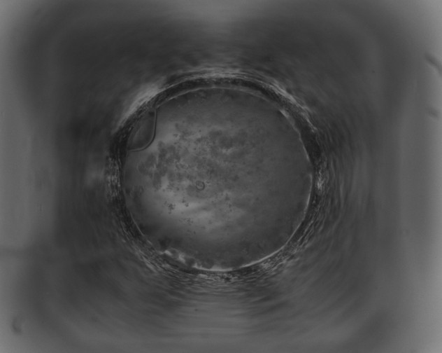 X0000093101255200709261223
