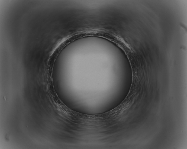 X0000093101256200709261223