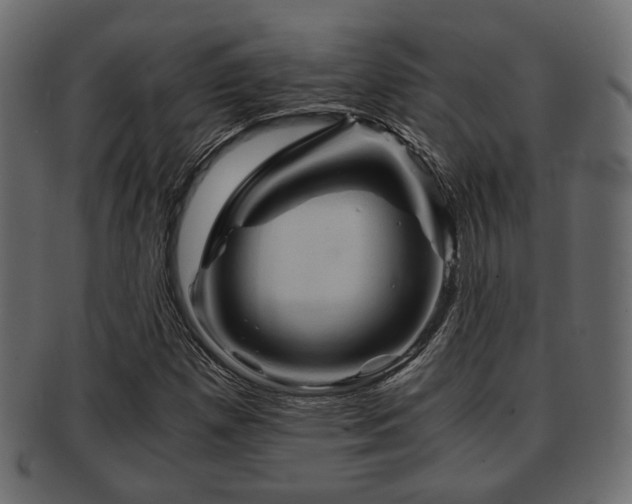 X0000093101257200709261223