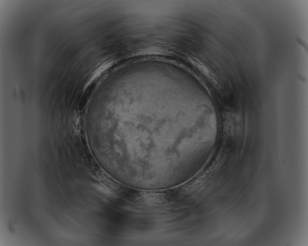 X0000093101258200709261223