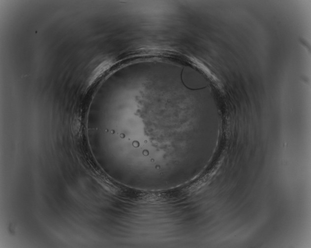 X0000093101259200709261223