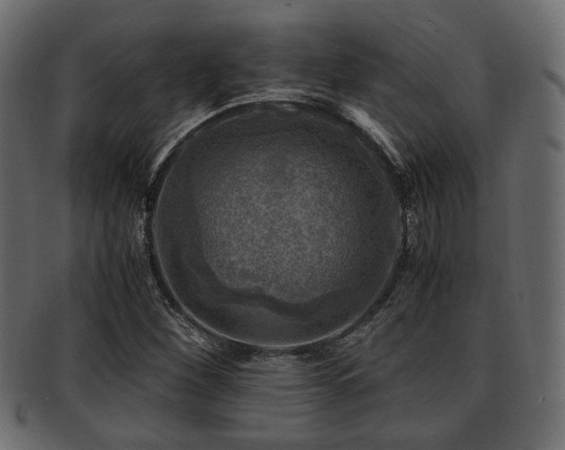 X0000093101260200709261223