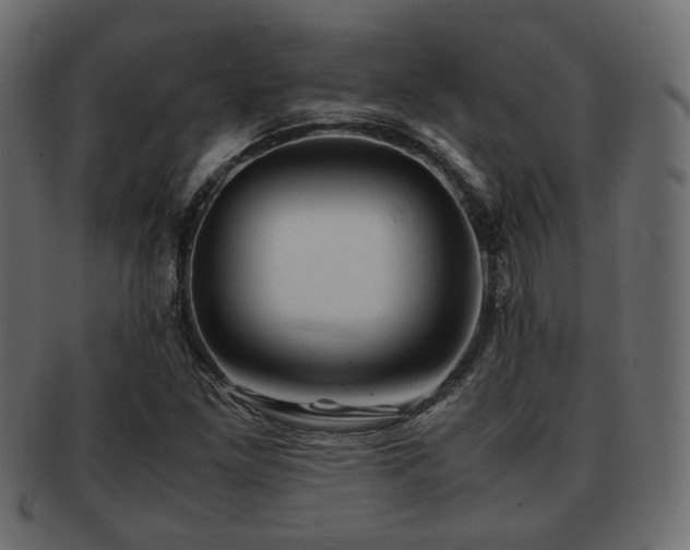 X0000093101261200709261223