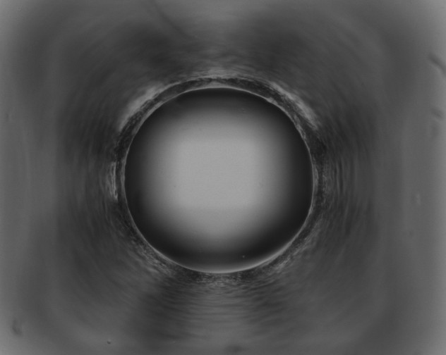 X0000093101262200709261223