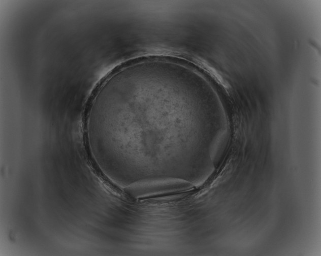 X0000093101264200709261223