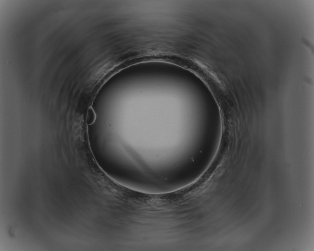 X0000093101265200709261223