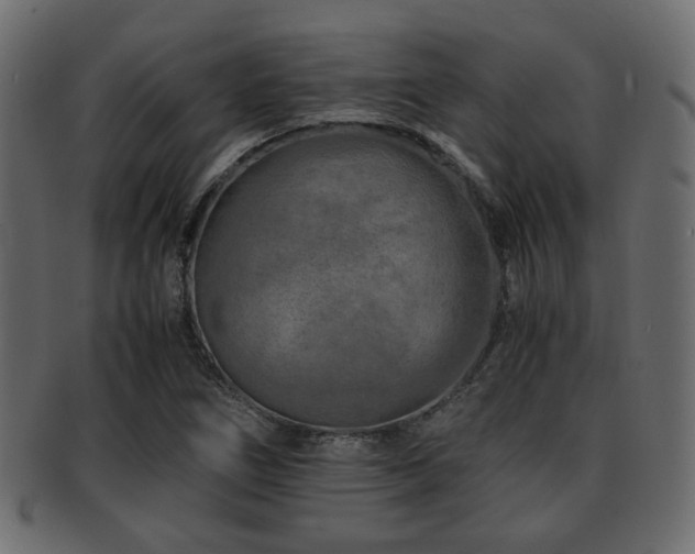 X0000093101266200709261223