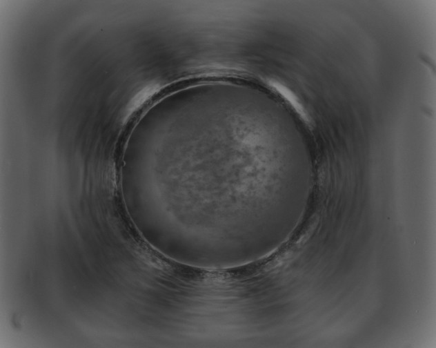 X0000093101267200709261223
