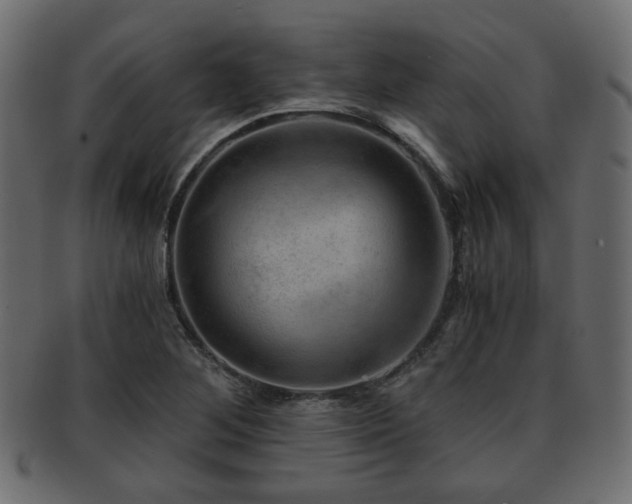X0000093101268200709261223