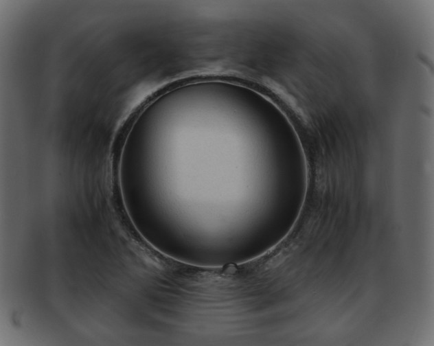 X0000093101270200709261223