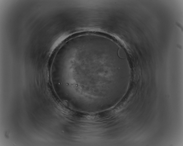 X0000093101271200709261223