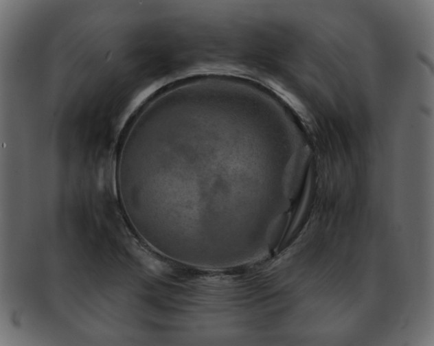 X0000093101272200709261223