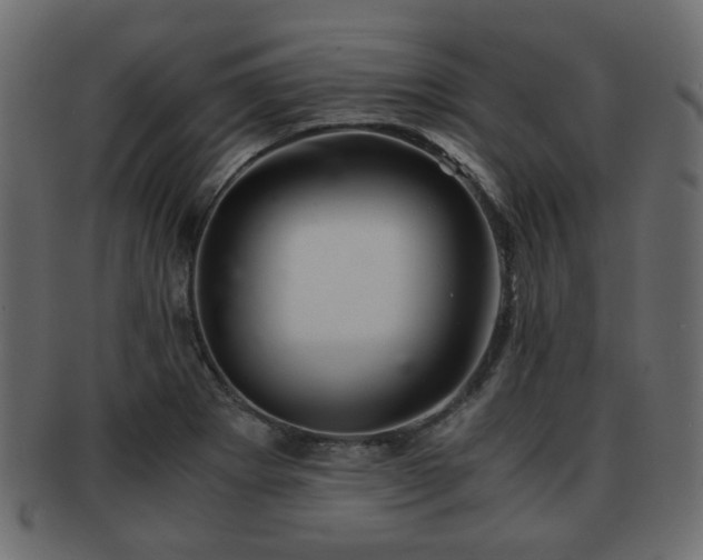 X0000093101273200709261223