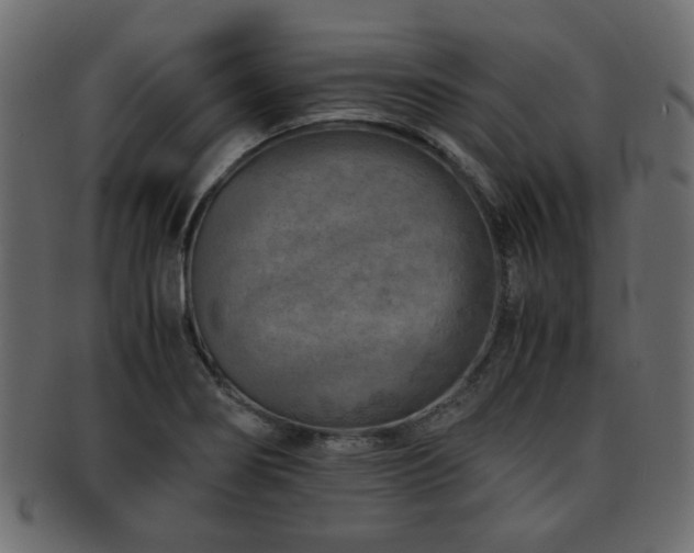 X0000093101274200709261223