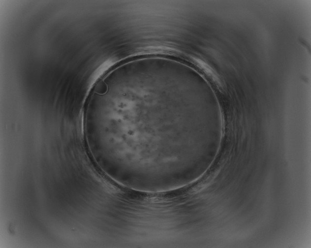 X0000093101275200709261223