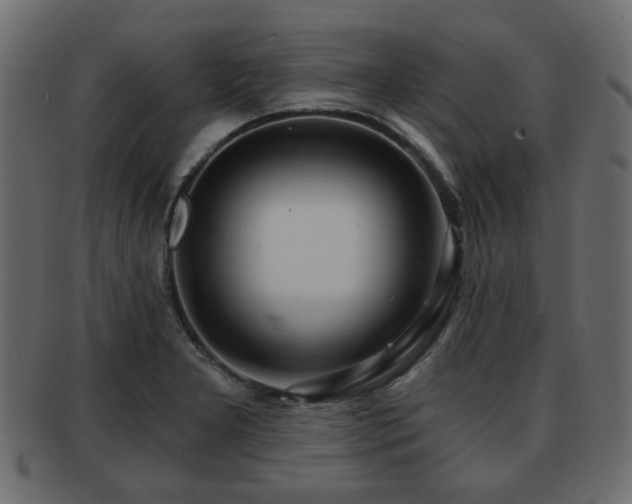X0000093101277200709261223