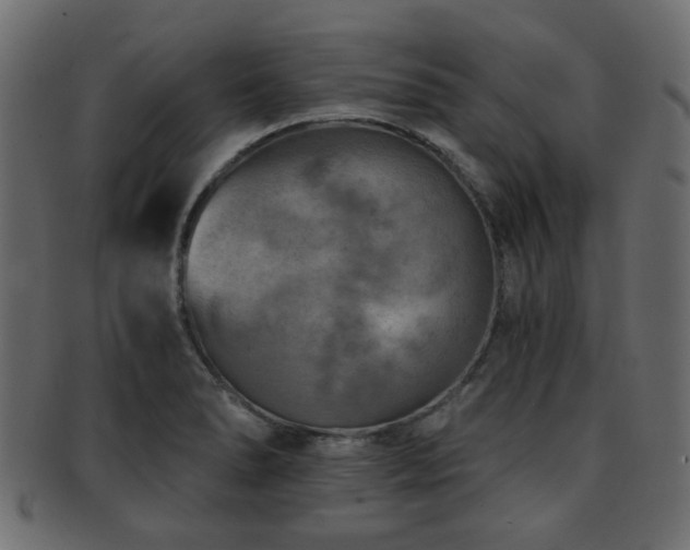 X0000093101278200709261223