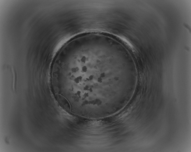 X0000093101279200709261223