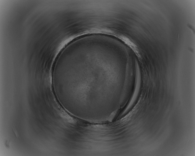 X0000093101280200709261223