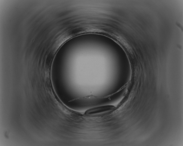 X0000093101281200709261223
