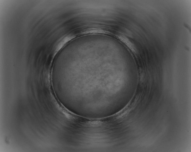 X0000093101282200709261223
