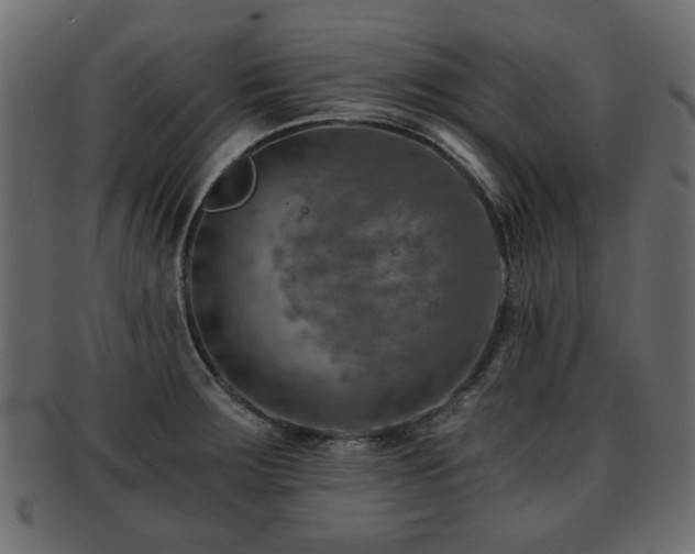 X0000093101283200709261223