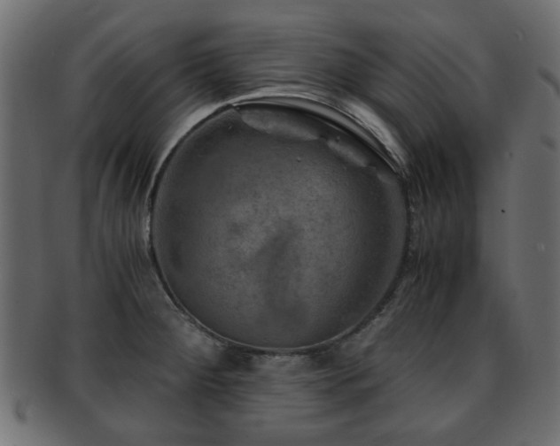 X0000093101284200709261223