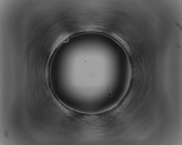 X0000093101285200709261223