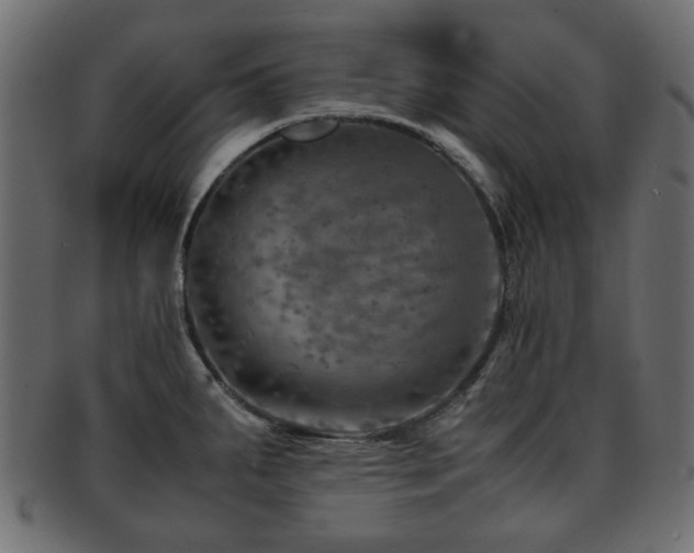 X0000093101287200709261223