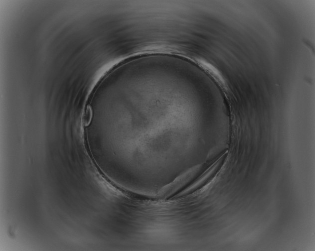 X0000093101288200709261223