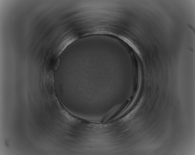 X0000093101289200709261223