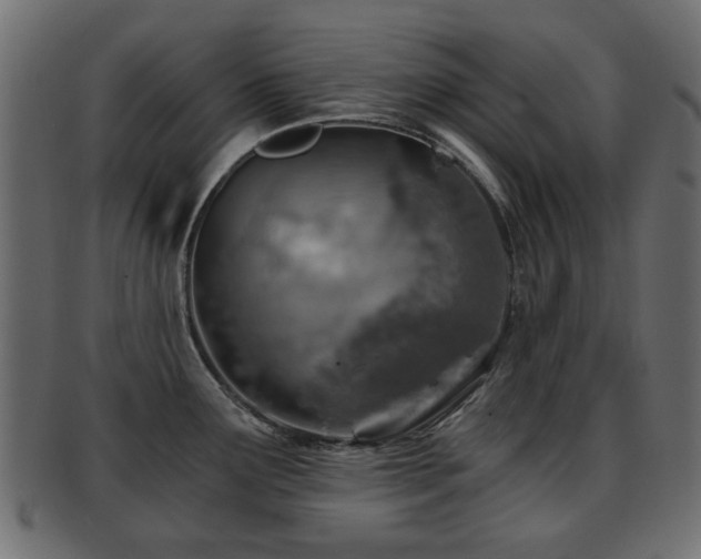 X0000093101291200709261223