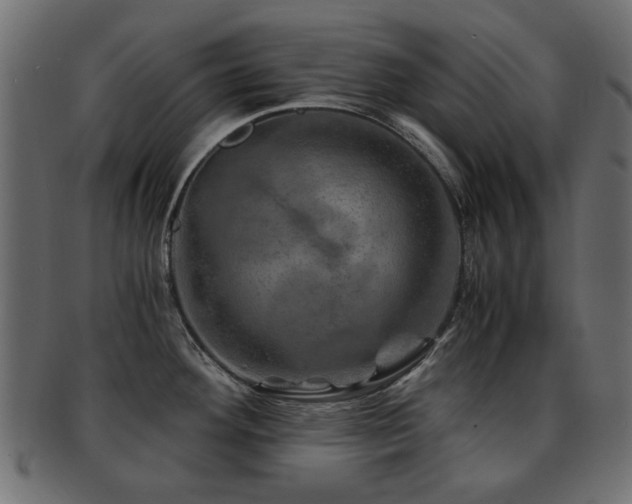 X0000093101292200709261223