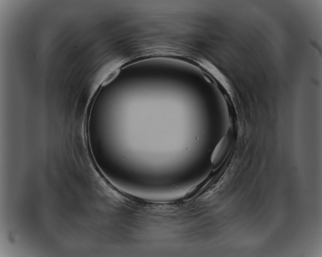 X0000093101293200709261223
