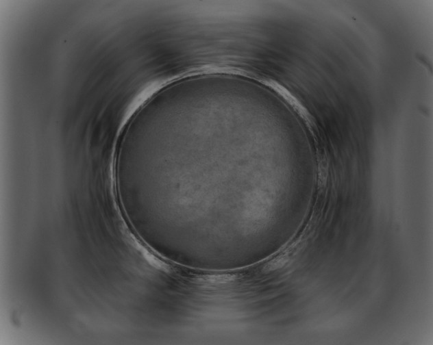 X0000093101294200709261223