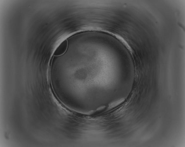 X0000093101295200709261223