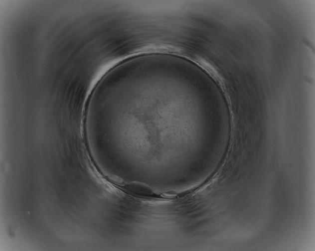 X0000093101296200709261223