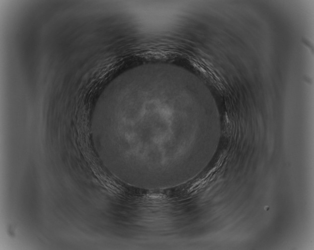 X0000093101297200709261222
