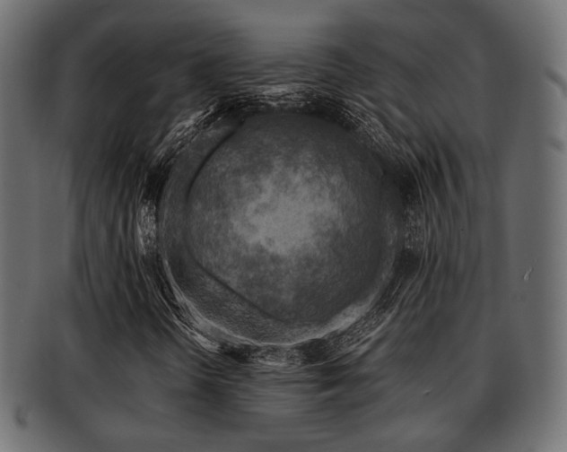 X0000093101298200709261222