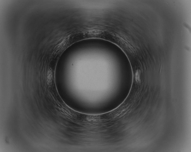 X0000093101299200709261222
