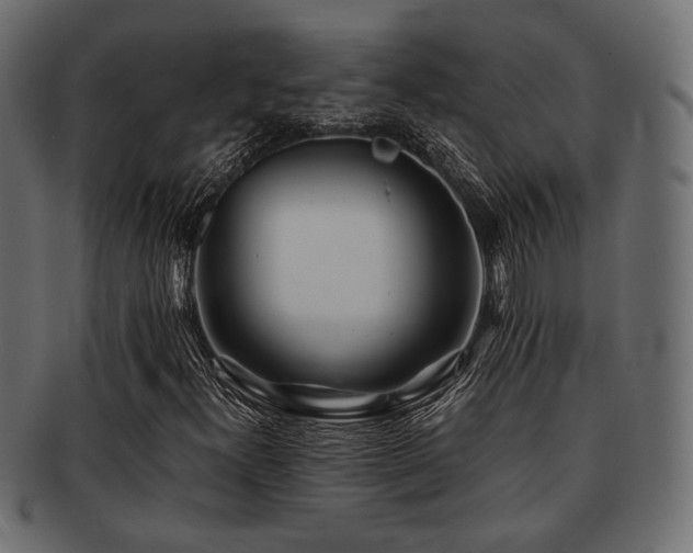 X0000093101300200709261222
