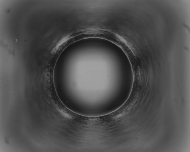 X0000093101304200709261222