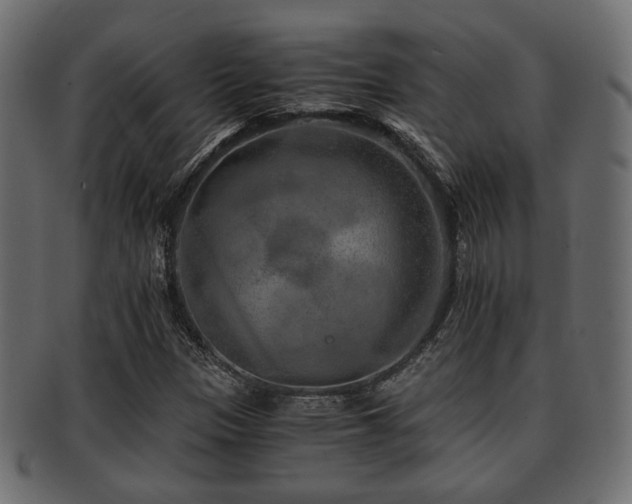 X0000093101305200709261222