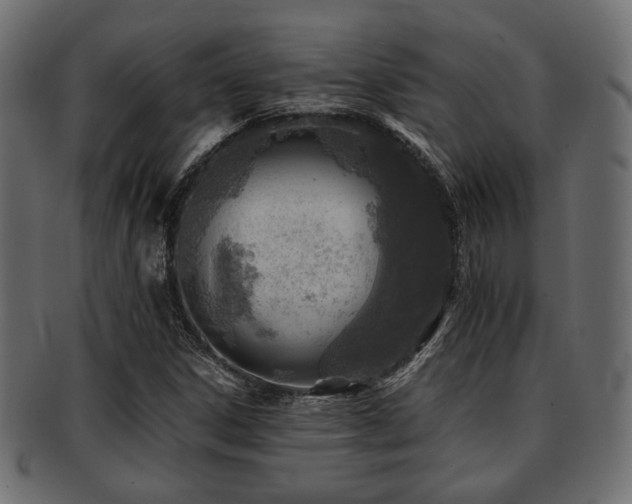 X0000093101306200709261222
