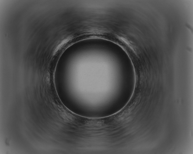 X0000093101307200709261222