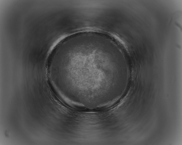 X0000093101310200709261222