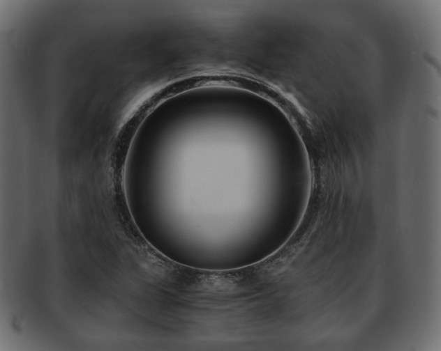 X0000093101311200709261222